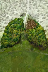 Постер до фильму"" #863234