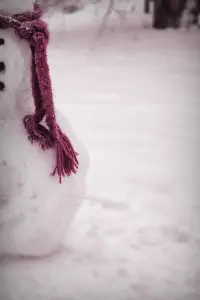 Постер до фильму"Сніговик" #1038085