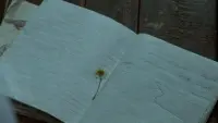 Задник до фильму"" #705327