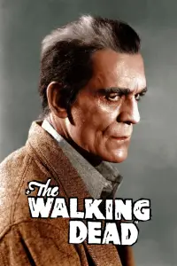 Постер до фильму"" #1012869