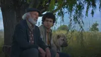 Задник до фильму"" #754391