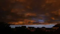 Задник до фильму"" #806952
