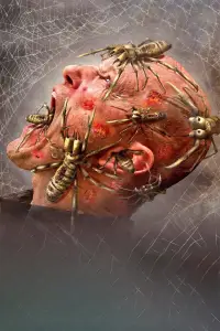 Постер до фильму"Верблюжі павуки" #1075454