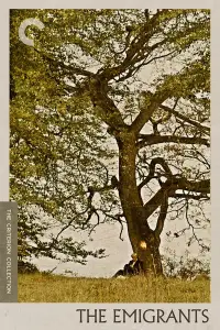 Постер до фильму"" #1001030