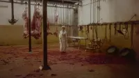 Задник до фильму"" #798134