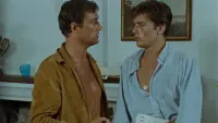 Задник до фильму"На яскравому сонці" #783422