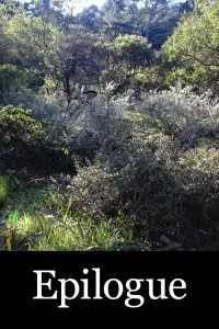 Постер до фильму"" #1097118