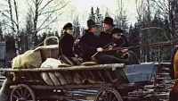 Задник до фильму"" #720682