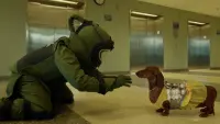 Задник до фильму"Такса" #708335