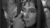 Задник до фильму"Летять журавлі" #704821