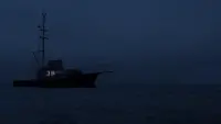 Задник до фильму"Щелепи" #529839