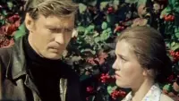 Задник до фильму"Приезжая" #850986