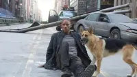 Задник до фильму"Я — легенда" #232895