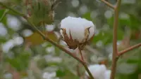 Задник до фильму"" #712385