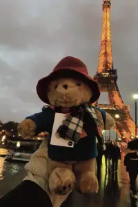 Постер до фильму"Пригоди Паддінґтона 2" #1062607