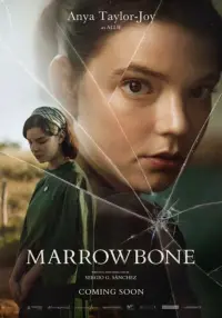 Постер до фильму"Оселя тіней" #823483