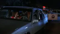 Задник до фильму"Суцільні неприємності" #343376