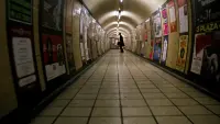 Задник до фильму"Американський перевертень у Лондоні" #806617