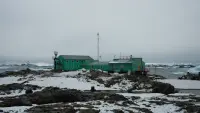 Задник до фильму"Антарктида" #828832