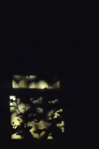 Постер до фильму"" #589792