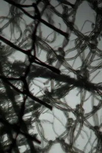 Постер до фильму"" #807653