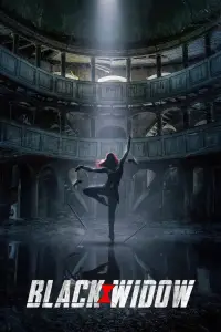 Постер до фильму"Чорна вдова" #935405