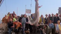 Задник до фильму"Щелепи" #529834