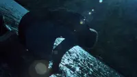 Задник до фильму"" #737052