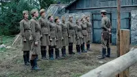 Задник до фильму"А зори здесь тихие..." #446803