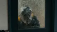 Задник до фильму"" #816134
