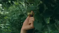 Задник до фильму"" #814229