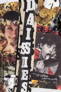 Постер до фильму"Маргаритки" #969689