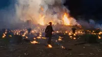 Задник до фильму"Джанґо вільний" #548074
