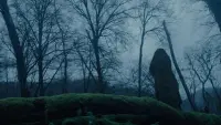 Задник до фильму"" #736272