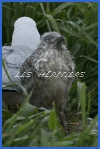 Постер до фильму"" #1007154