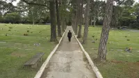 Задник до фильму"" #677658