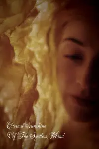 Постер до фильму"Вічне сяйво чистого розуму" #923786