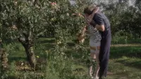 Задник до фильму"" #781142