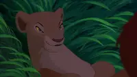 Задник до фильму"Король Лев" #1054835