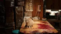 Задник до фильму"Голоси" #748935