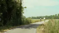 Задник до фильму"Назви мене своїм ім