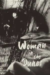 Постер до фильму"Жінка в пісках" #976812