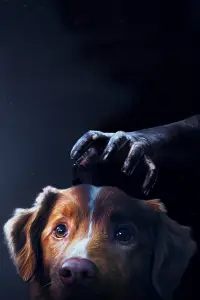 Постер до фильму"" #867352