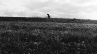 Задник до фильму"" #829662
