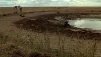 Задник до фильму"" #865092