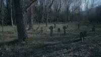 Задник до фильму"" #831488