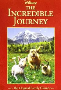 Постер до фильму"" #1018945