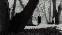 Задник до фильму"" #682200