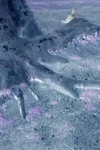 Постер до фильму"" #875416