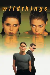 Постер до фильму"Дикі штучки" #989045